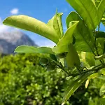 La Plana * 波连斯萨